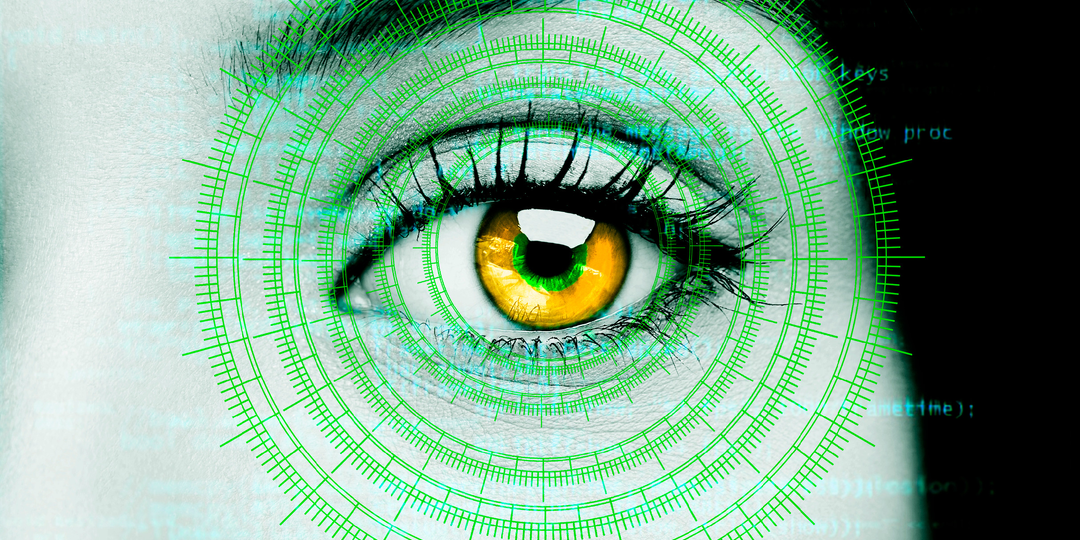 Возможно ли наложение штрафов по биометрии в России: разъяснения специалистов