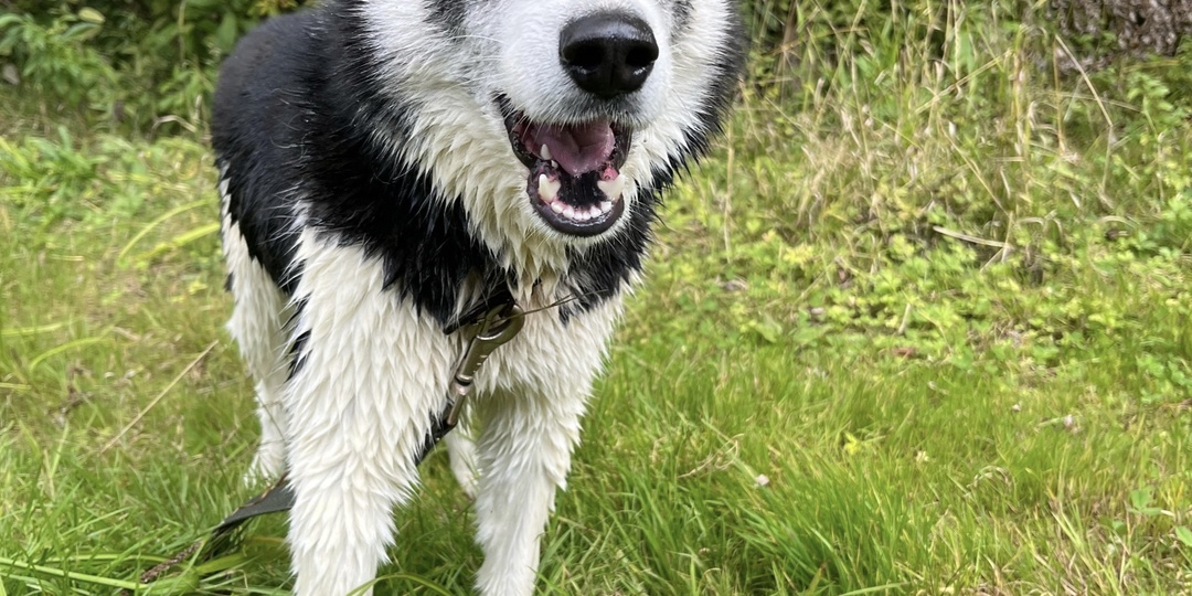 Добро добром вернётся. История рассказанная подписчицей Галиной