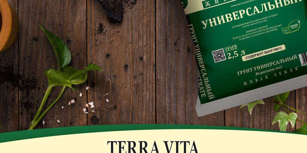 Главные ошибки ухода за цветами осенью: свет, грунт и влажность