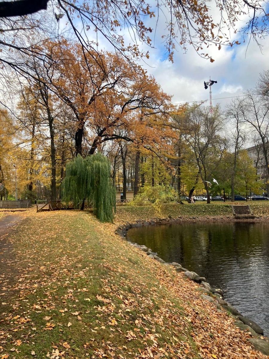 Фото от дочери. 