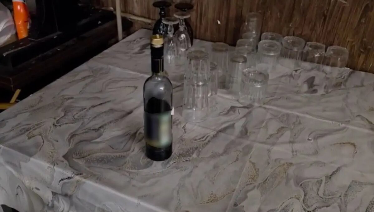    Фото: кадр видео ГУ МВД по Петербургу и Ленобласти