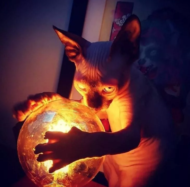 -Кручу, верчу, разбудить хочу!