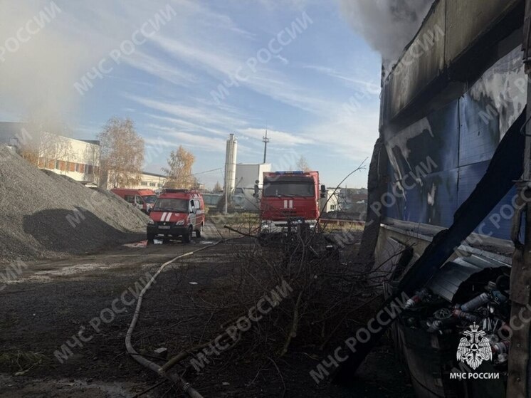     фото: телеграм-канал мчс по брянской области