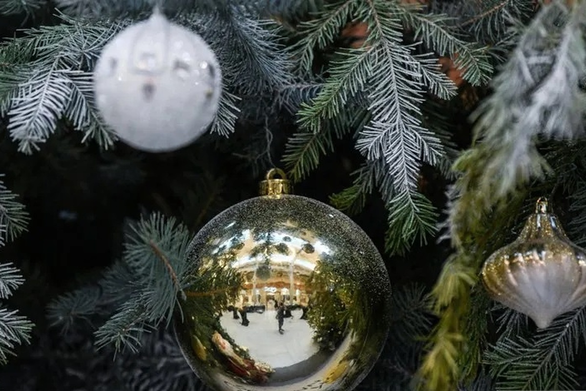    Фото: Владимир Жабриков, источник: URA.RU