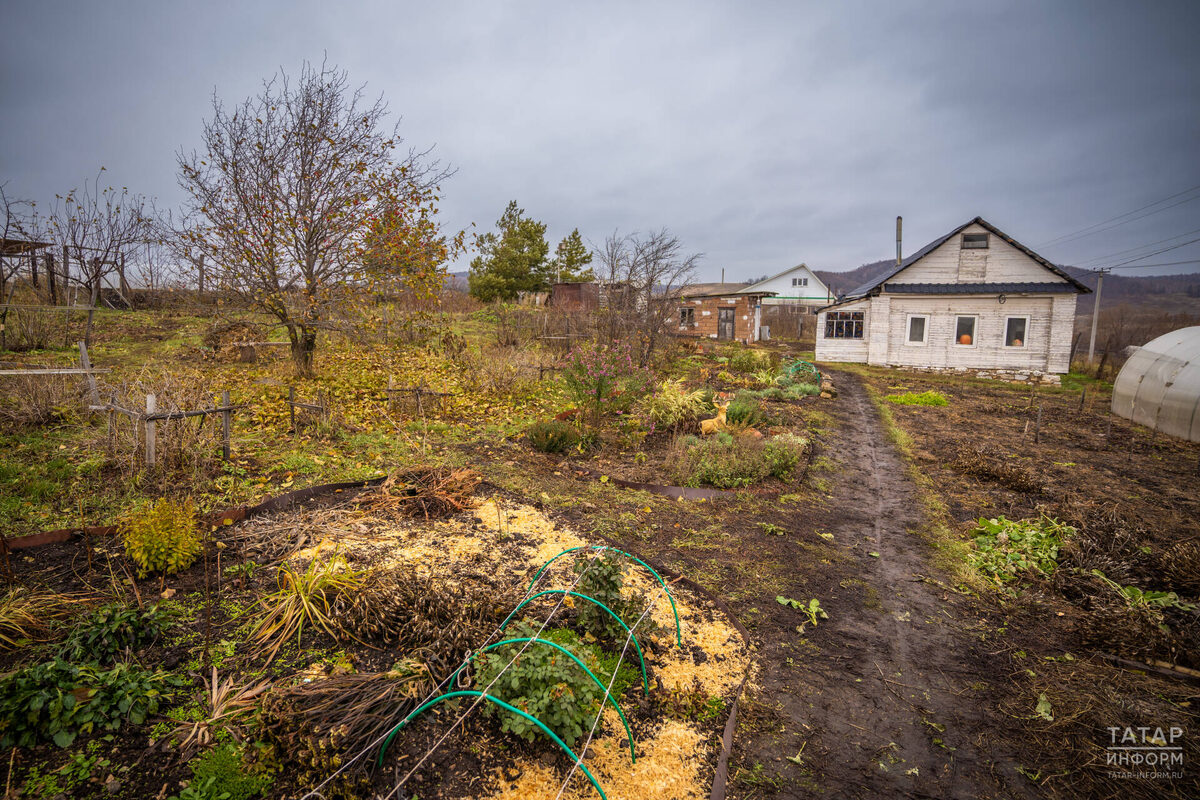 Фото: © Владимир Васильев / «Татар-информ»
