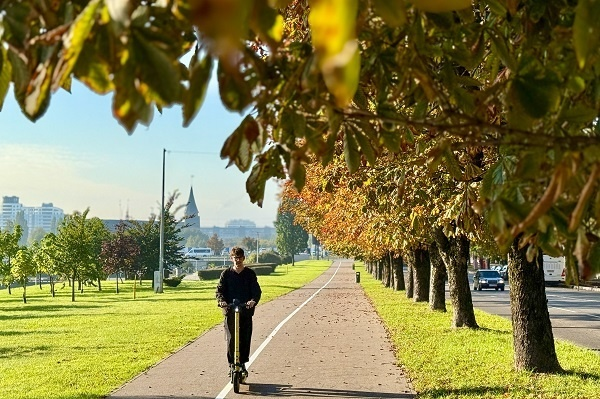 Фото: ТАСС/Илья Лазарев
