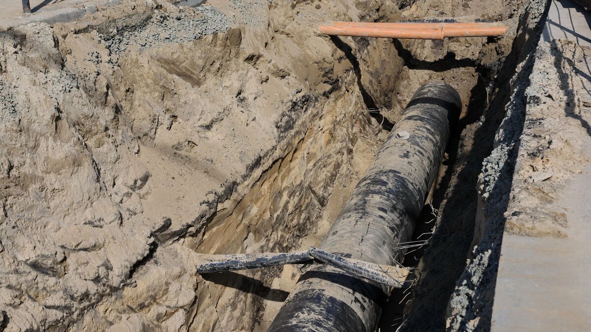    Фото: Андрей Ткачев/«Ямал-Медиа»