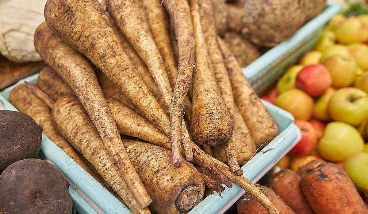    Корнеплоды. Источник: mos ru Автор фото: Пресс-служба Мэра и Правительства Москвы