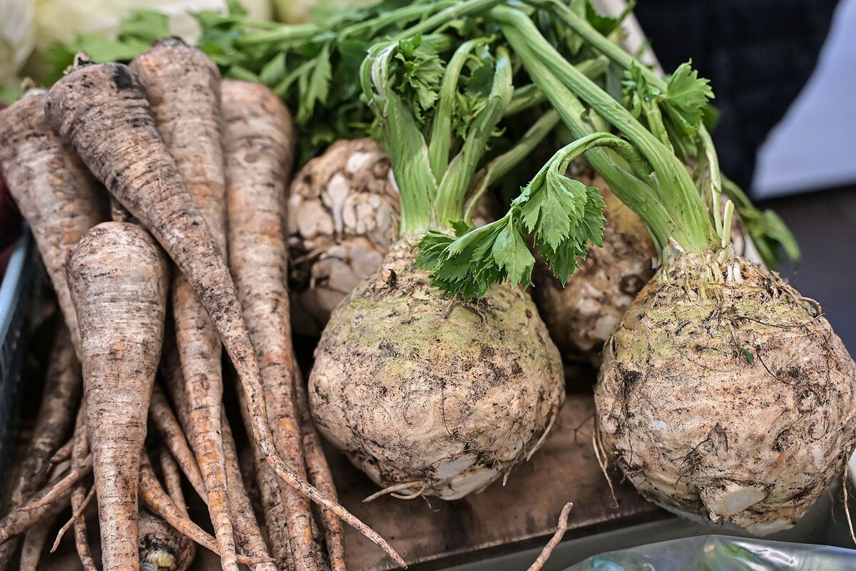    Осенние корнеплоды появились на прилавках московских ярмарок