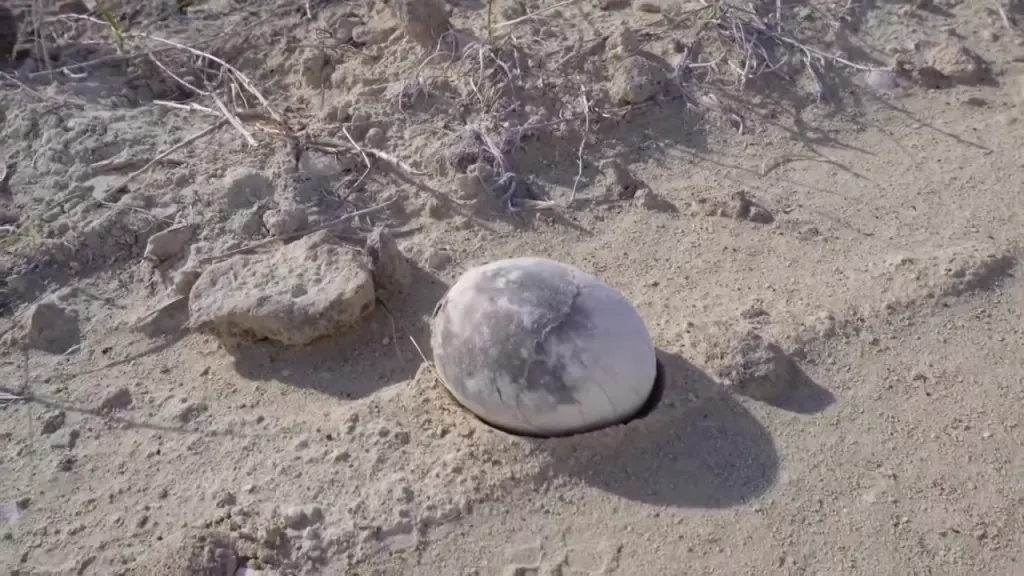    Фото: Гонсало Муньос, источник: Соцсети