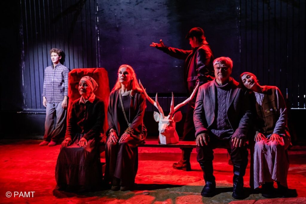    Фото предоставлены пресс-службой театра Источник фото: Театр To Go