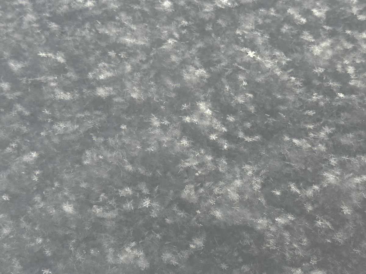 Снежинки пока прошлогодние. Автор фото - моя дочь.