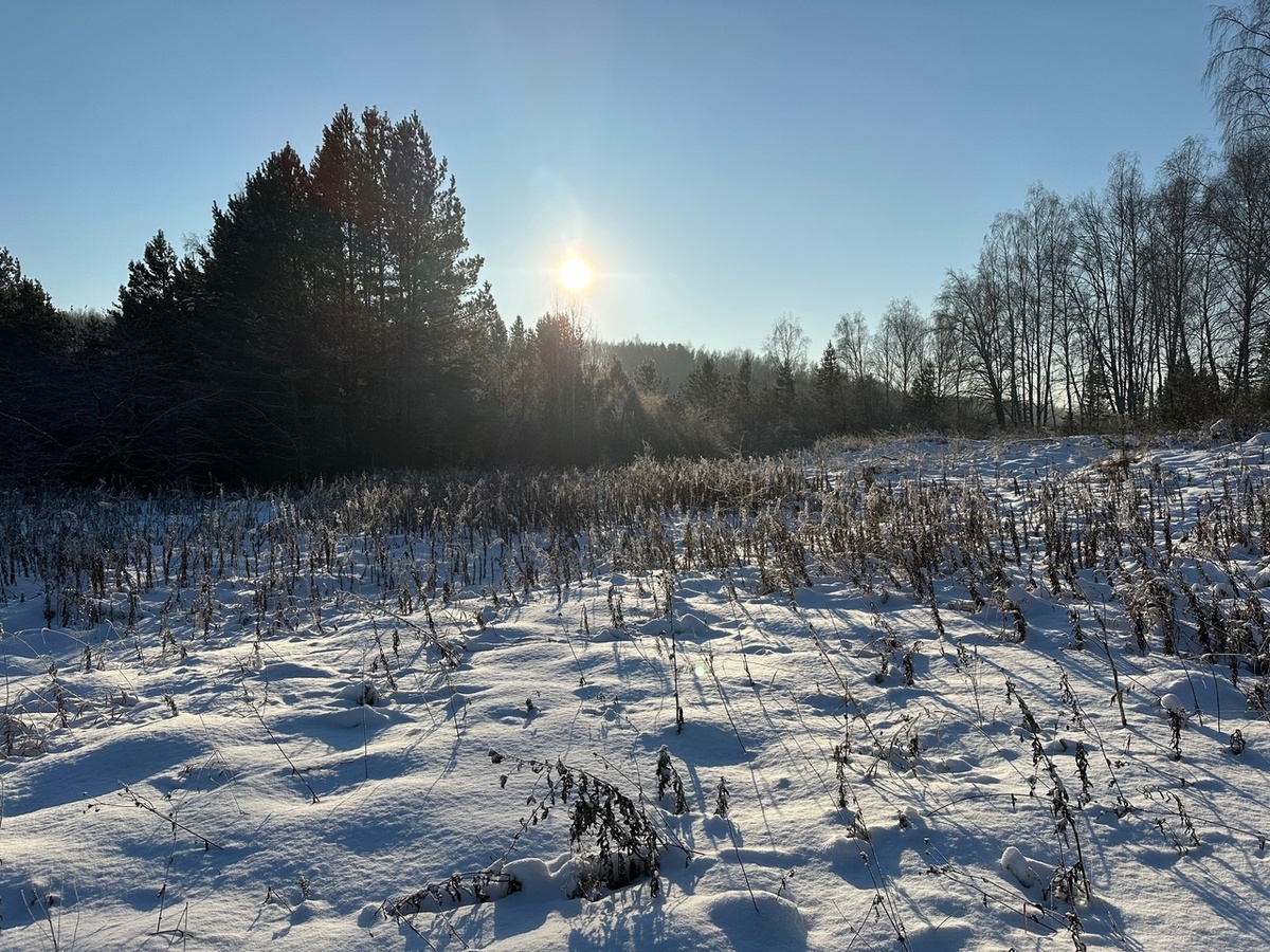 За городом уже лежит снежок. Автор фото - моя дочь