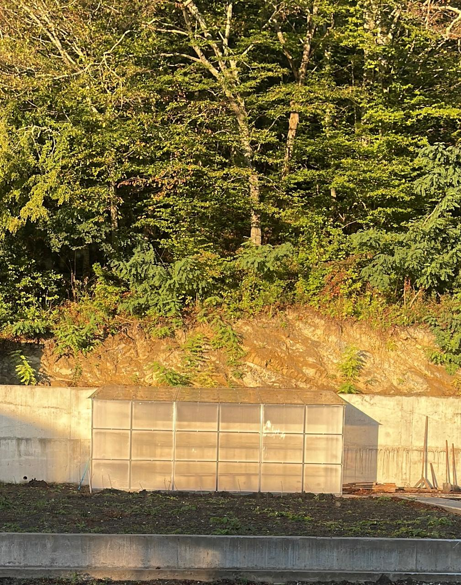 Вот она -моя мечта!