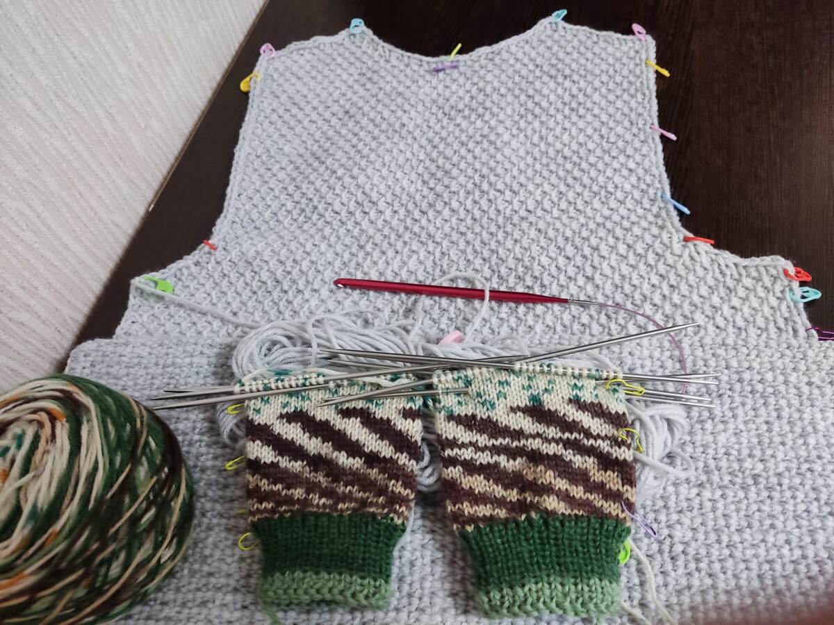 Жилет тунисским крючком продвигается, начала носочки.