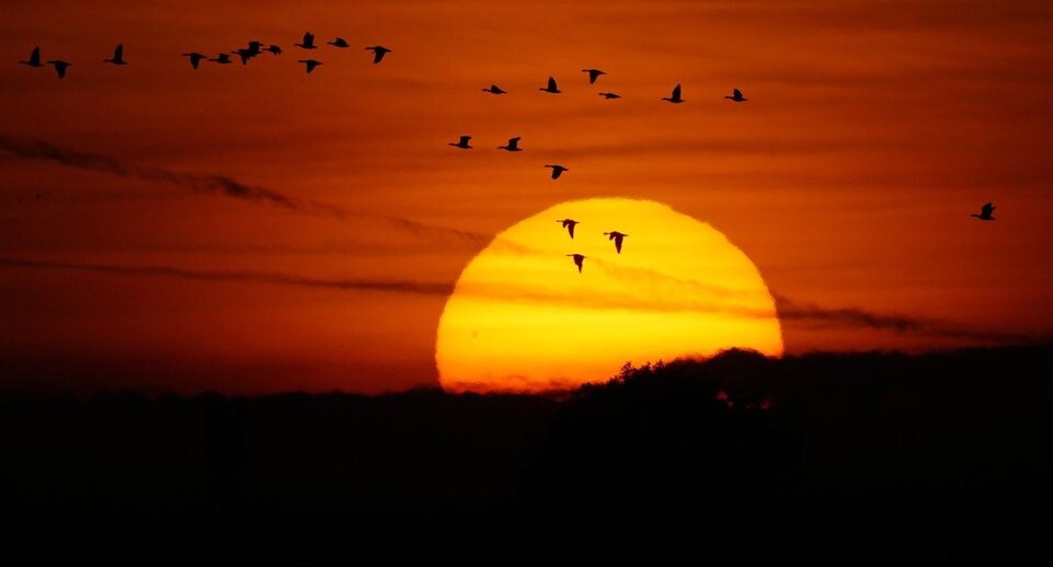    Wolfram Steinberg/dpa / www.globallookpress.com