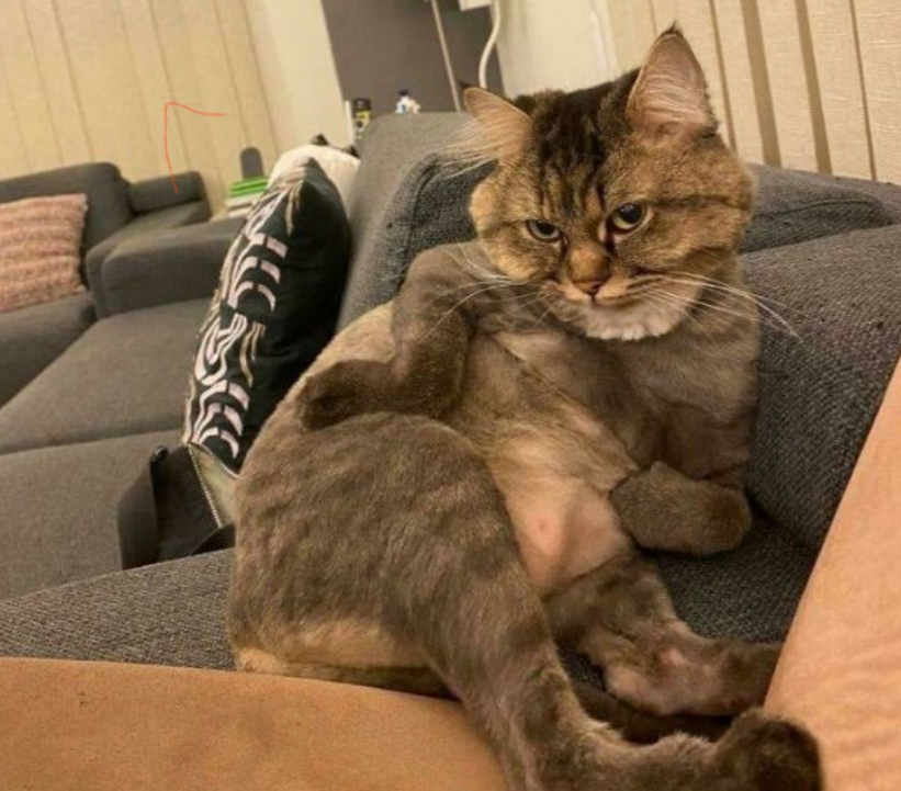 Скучает и ждет 