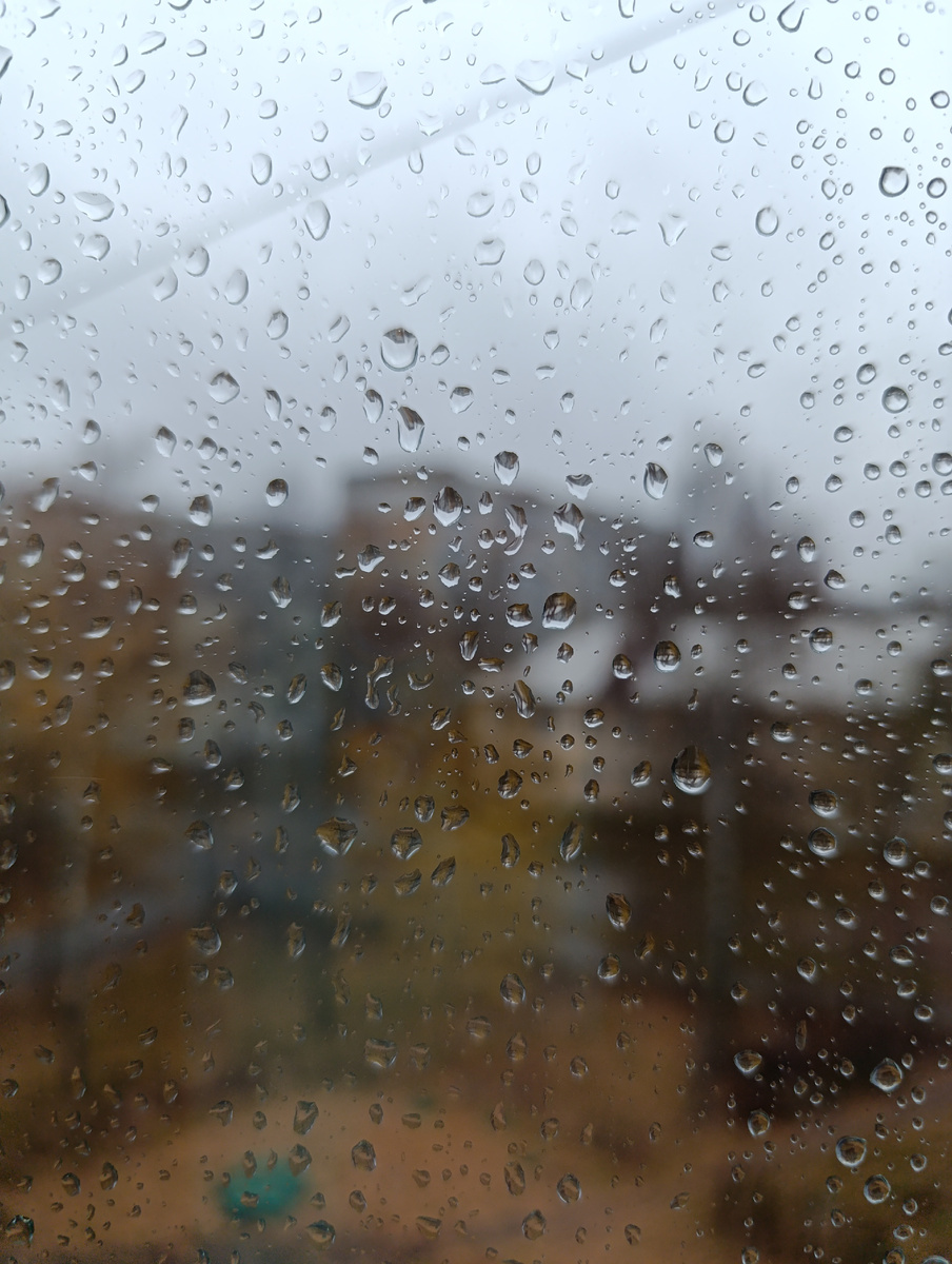 Вид из моего окна сегодня