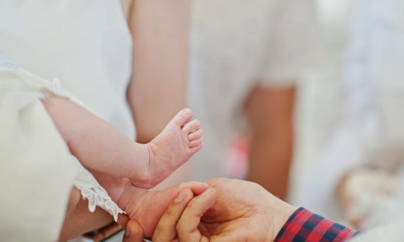    Фото freepik.com