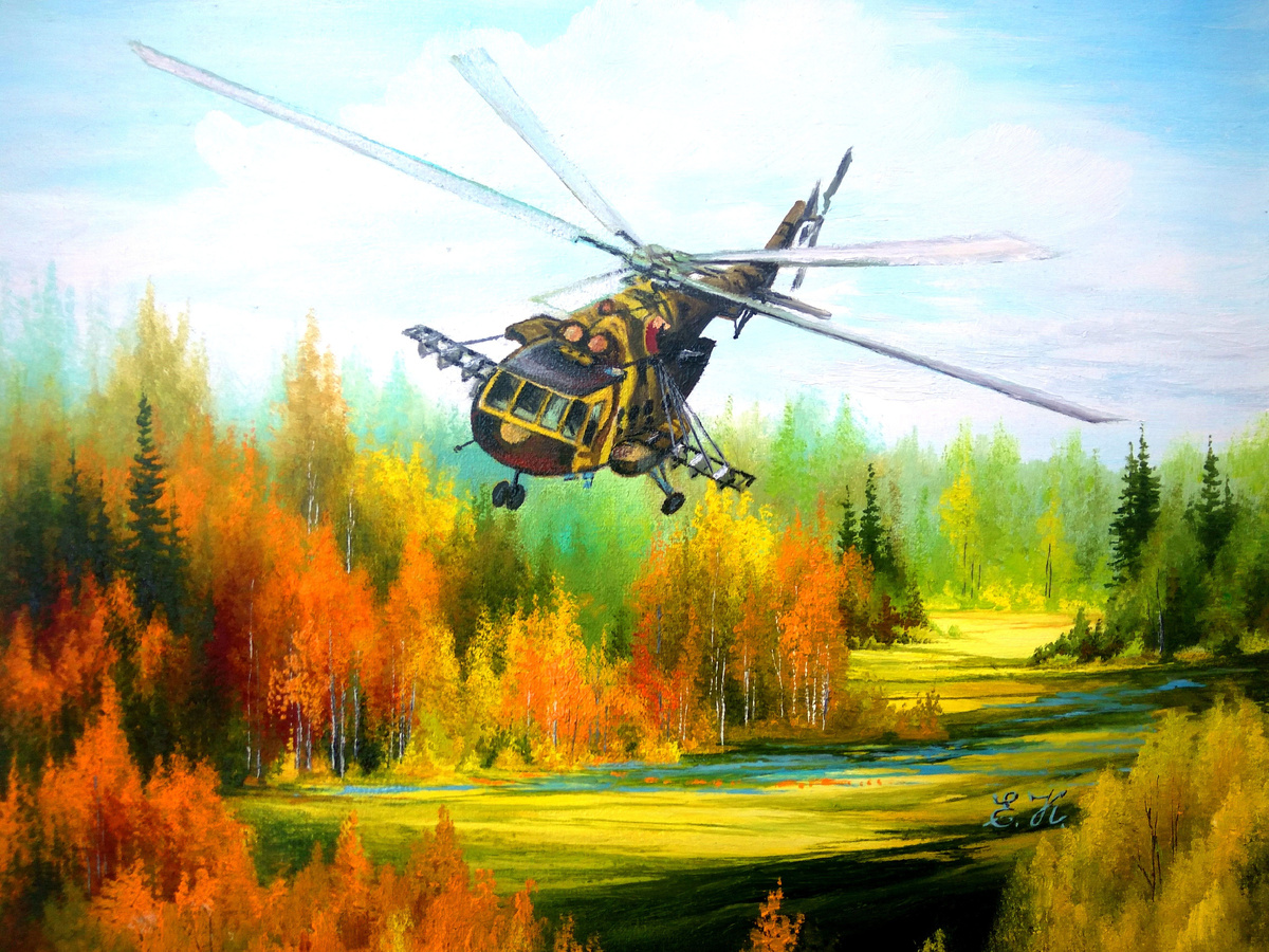 Вертолет Ми-8. Картина