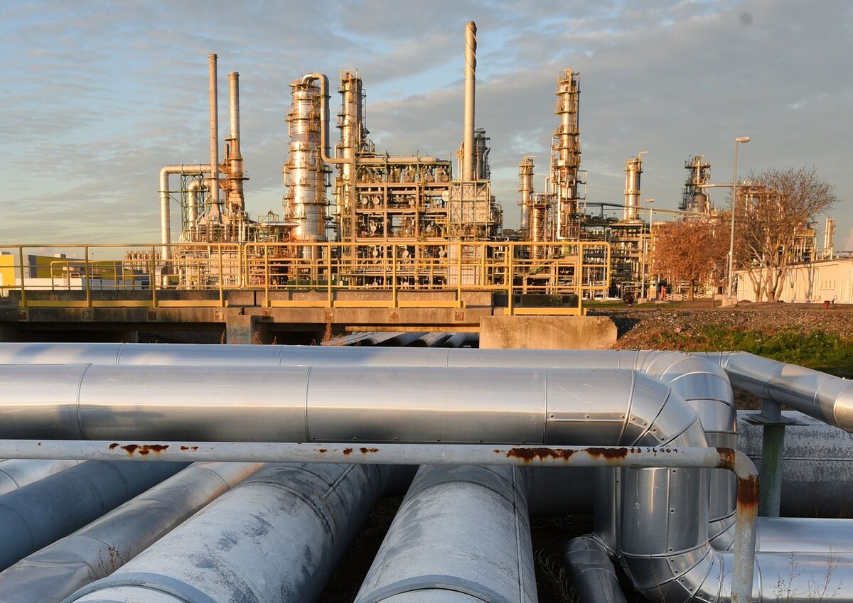     / Источник: © Global Look Press