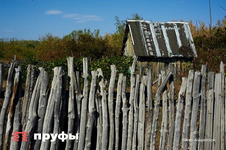    Фото: Пруфы
