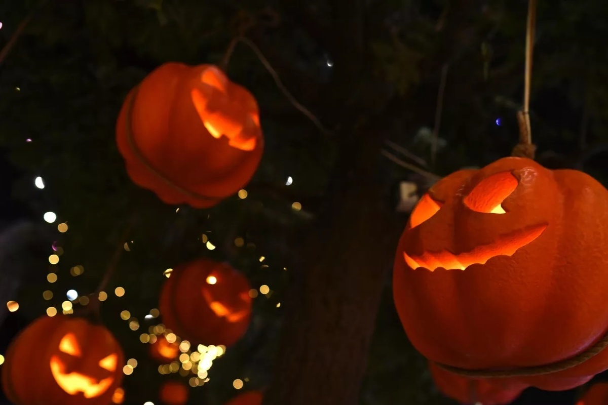    Фото: Евгений Биятов, источник: ria.ru