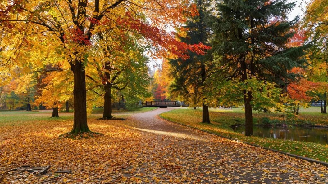    Фото: сгенерировано ИИ