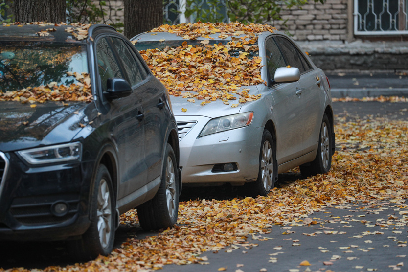 Фото: Sergey Bulkin / Global Look Press