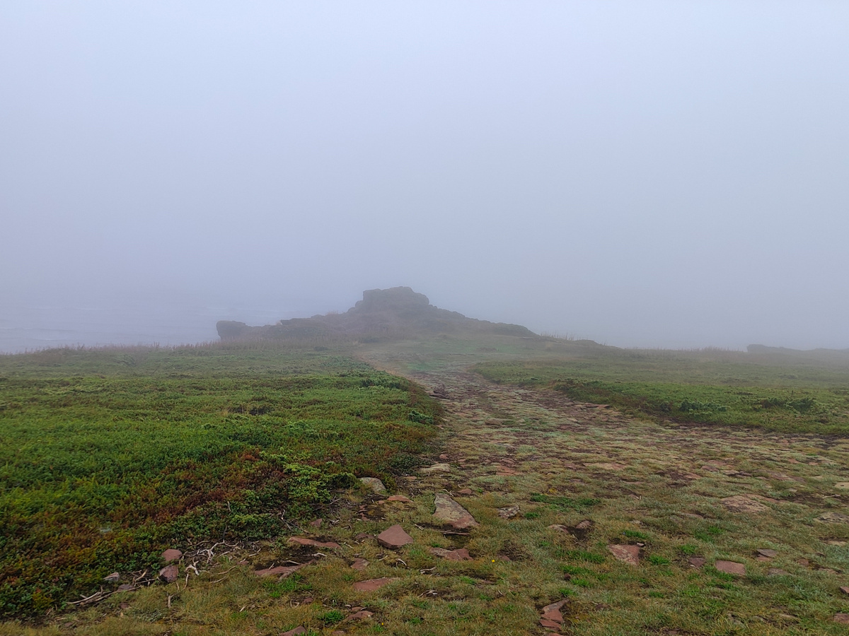 увидела натоптанную дорогу к красивой скалке на берегу