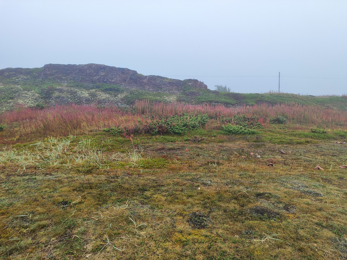 На площадке между высоким берегом и морем будем устраивать лагерь
