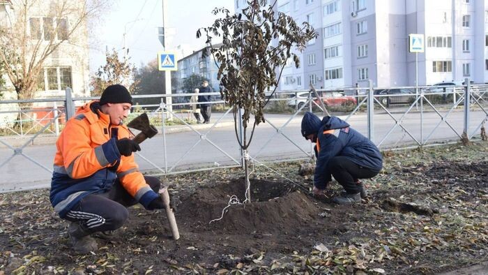    Сергей Сапоцкий