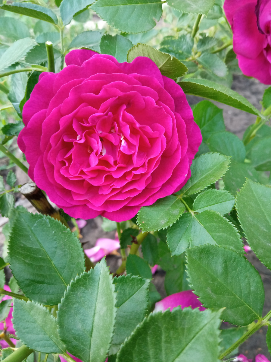 фото личное