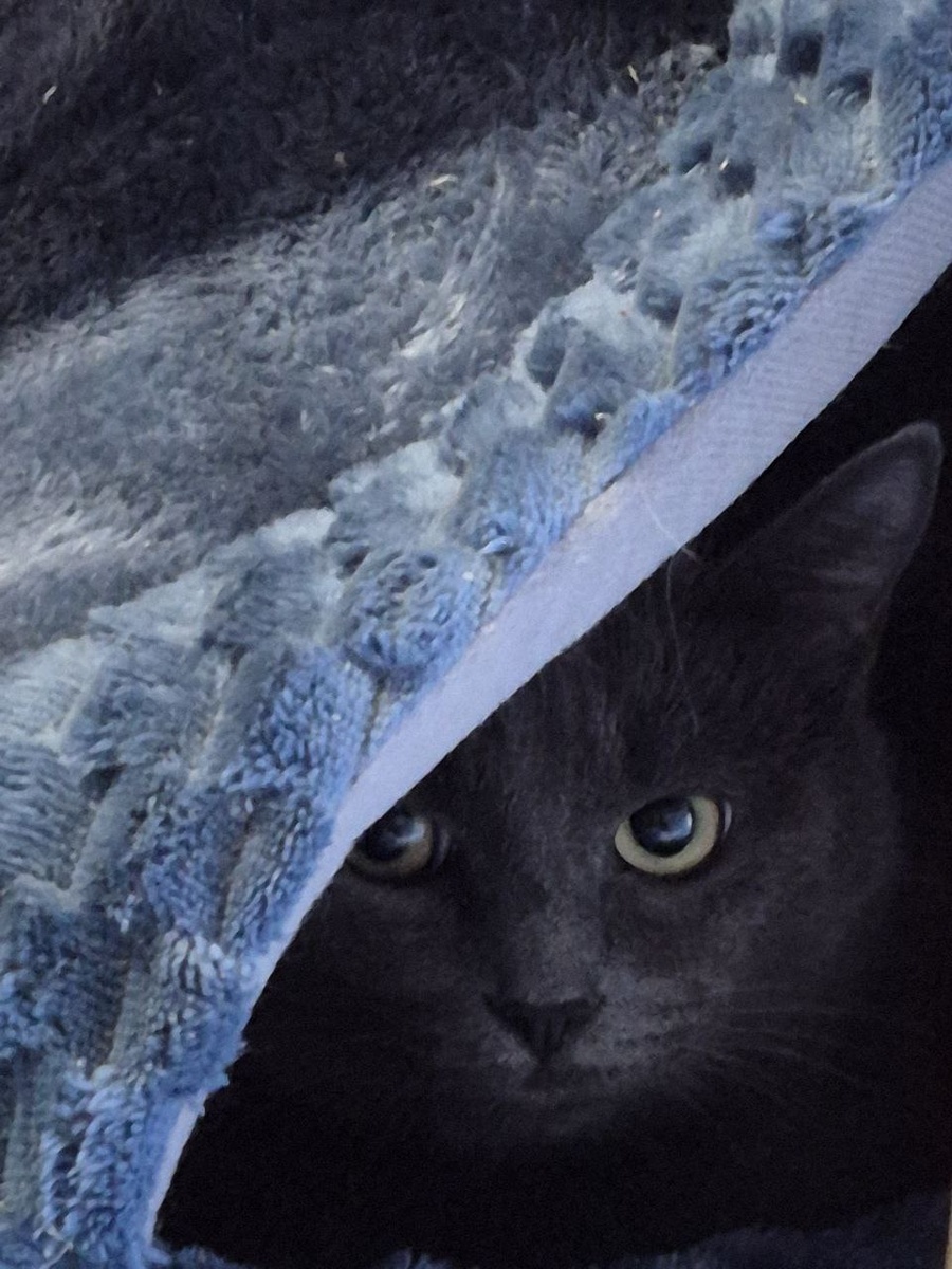 Никому не здрасьте