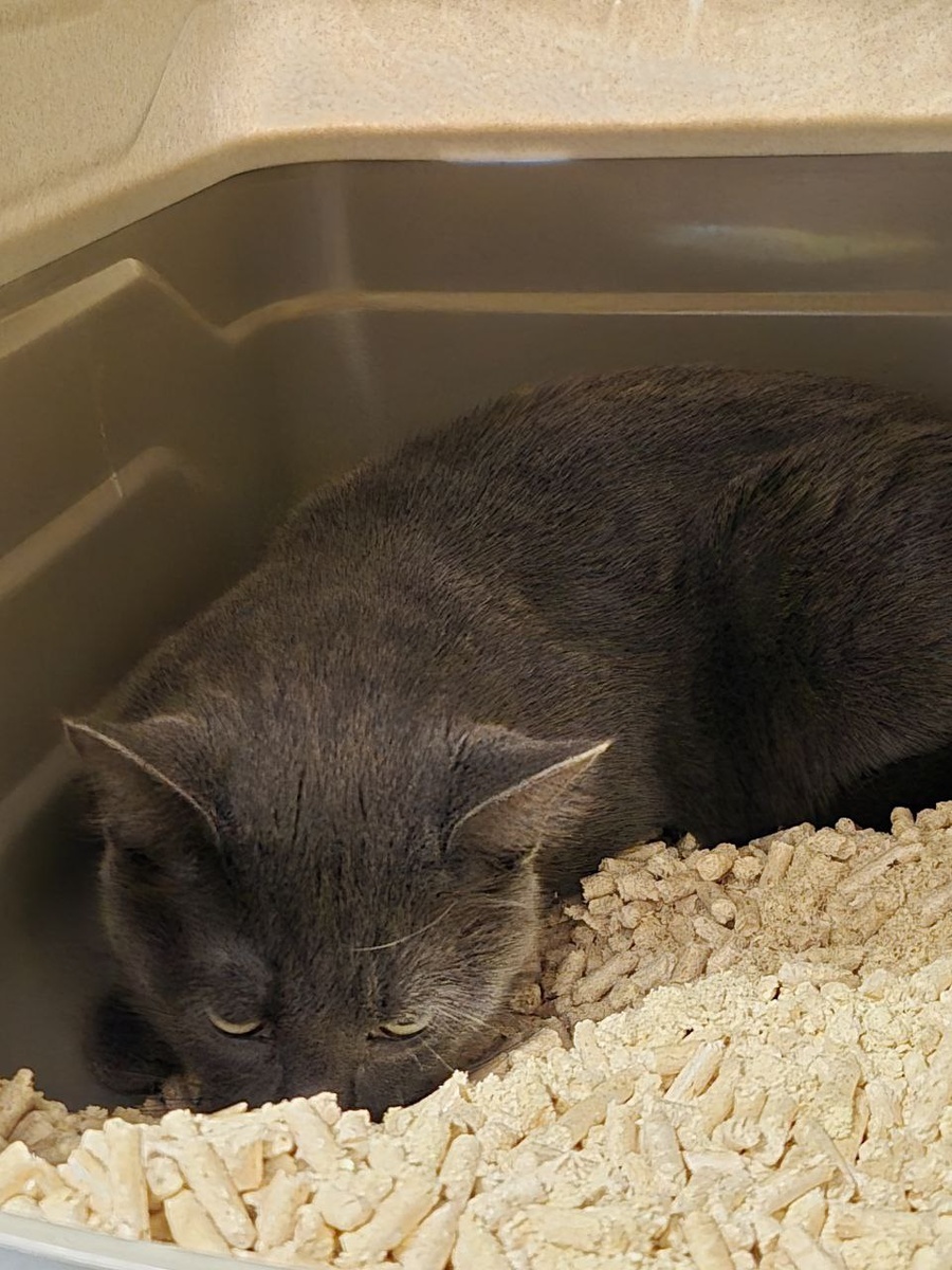 Забери меня отсюда, а?