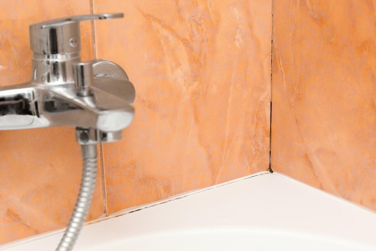    Сначала нужно обследовать сантехнику и промежутки между плитками 123RF/legion-media.ru