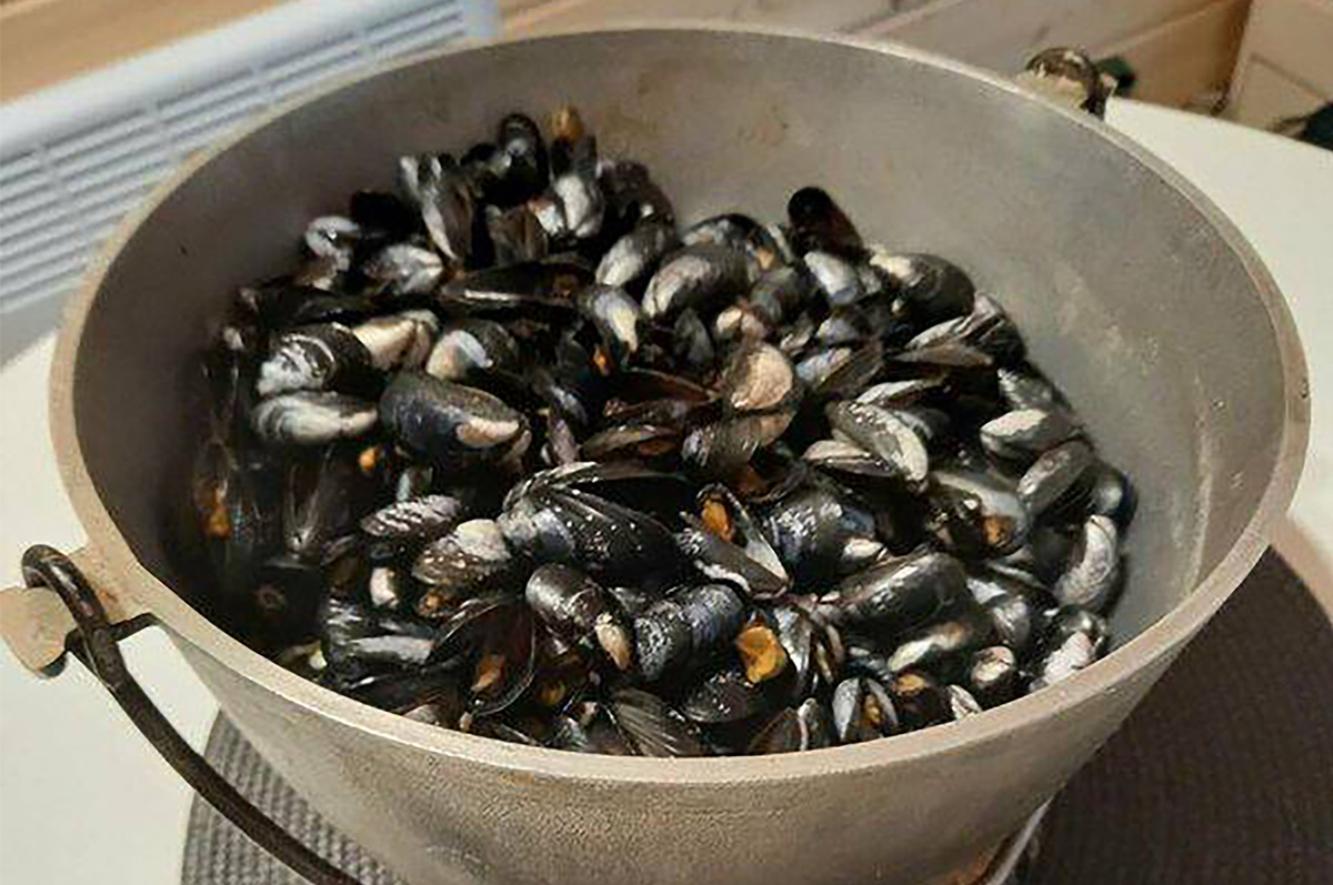 Дары щедрой карельской природы в «Точке притяжения»