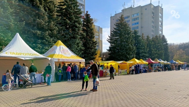      Фото: ИА «Победа26»