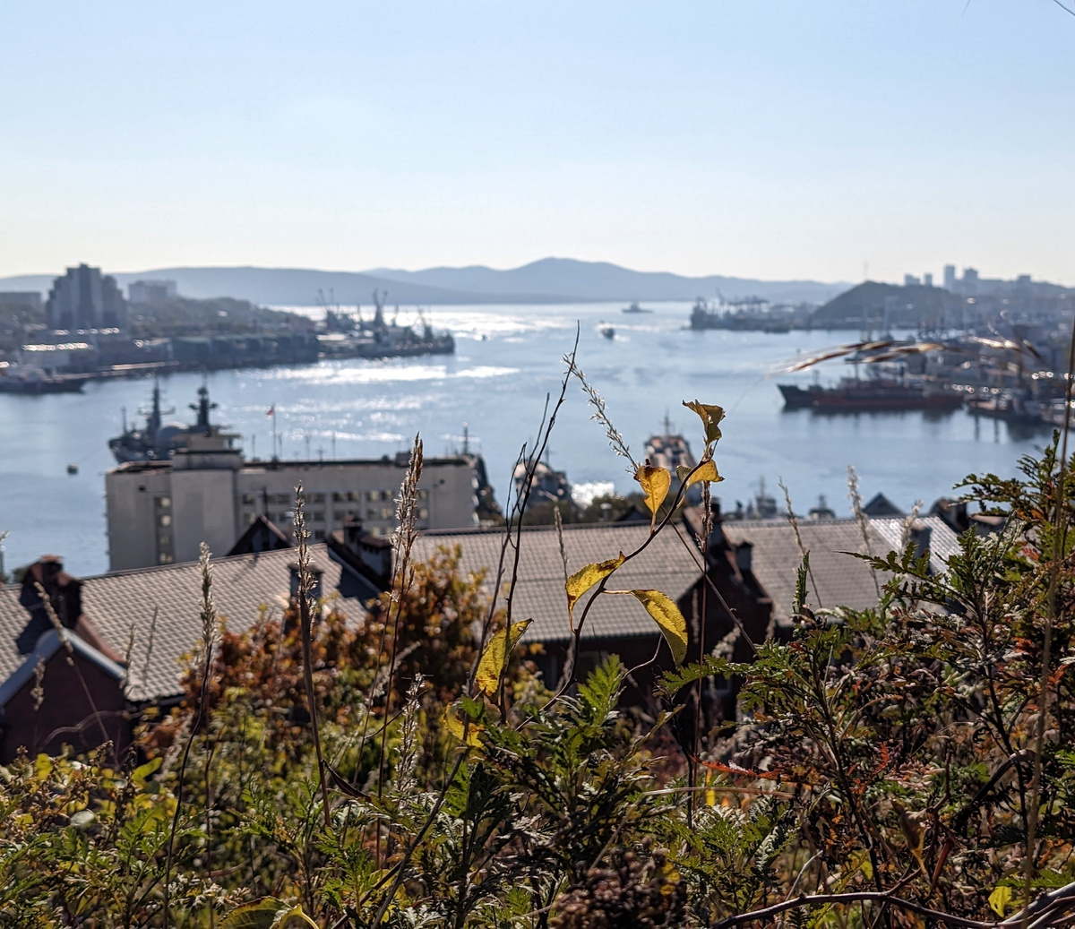 Вид с Почтовой сопки на бухту Золотой Рог. Сопочка справа — воспетая автором Крестовая. 