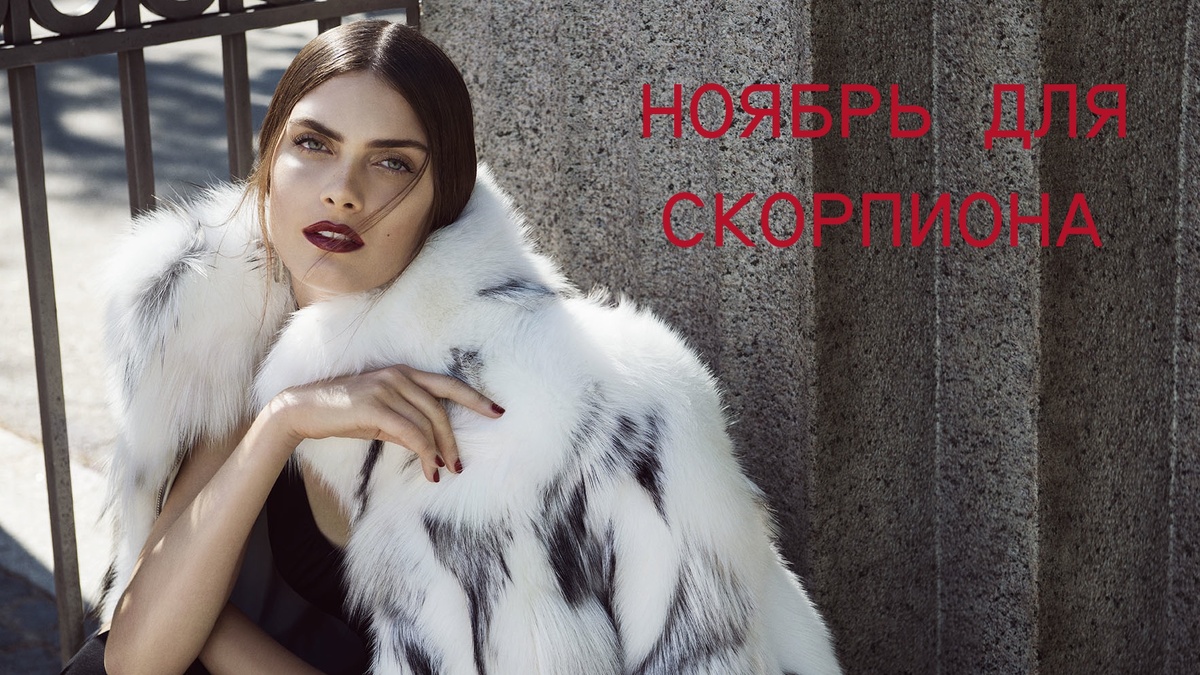 Скорпион в ноябре. Фото в свободном доступе.