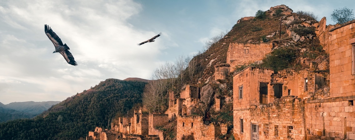 @Stanislav71/Shutterstock