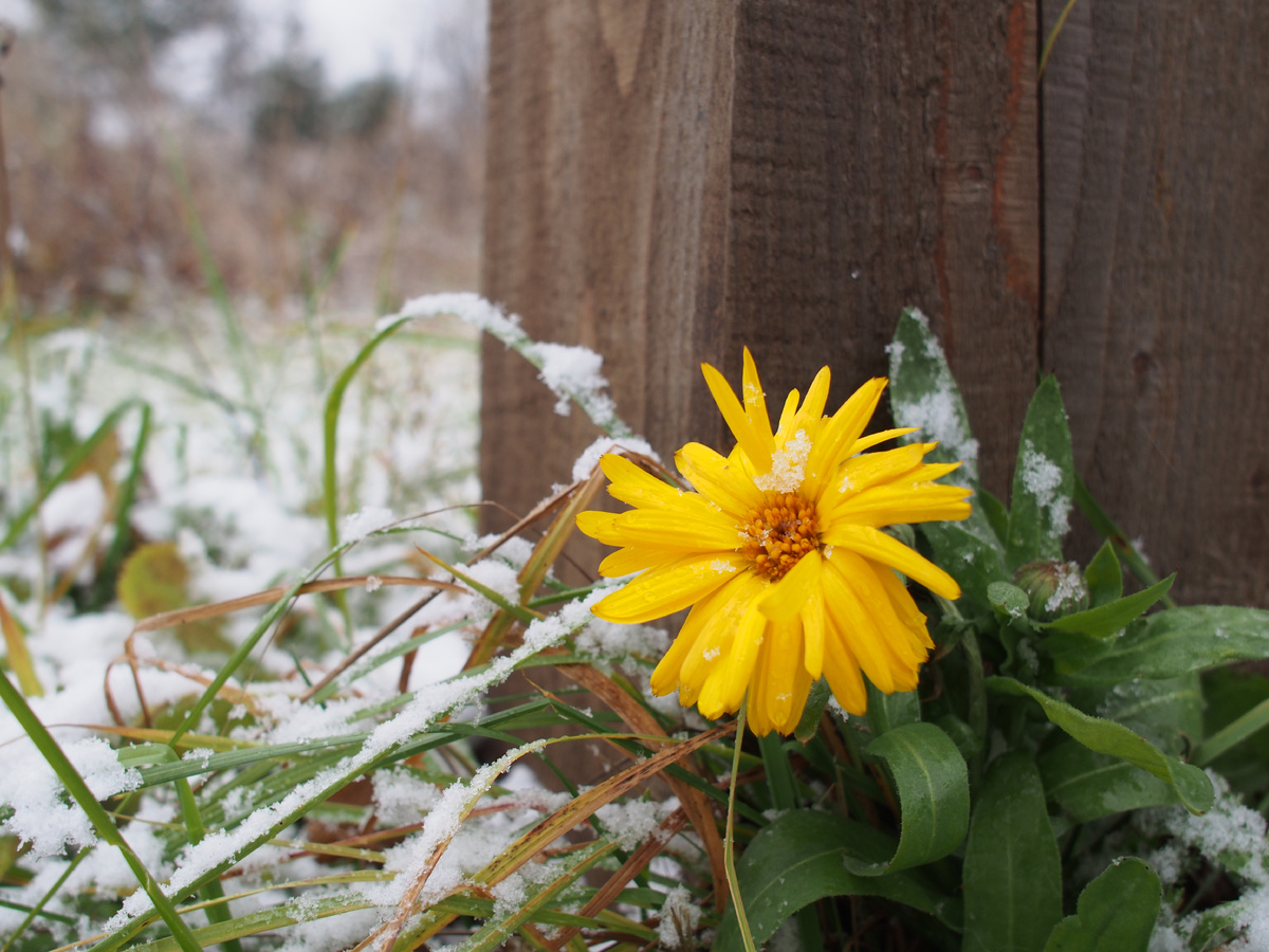 конец октября 2022 года