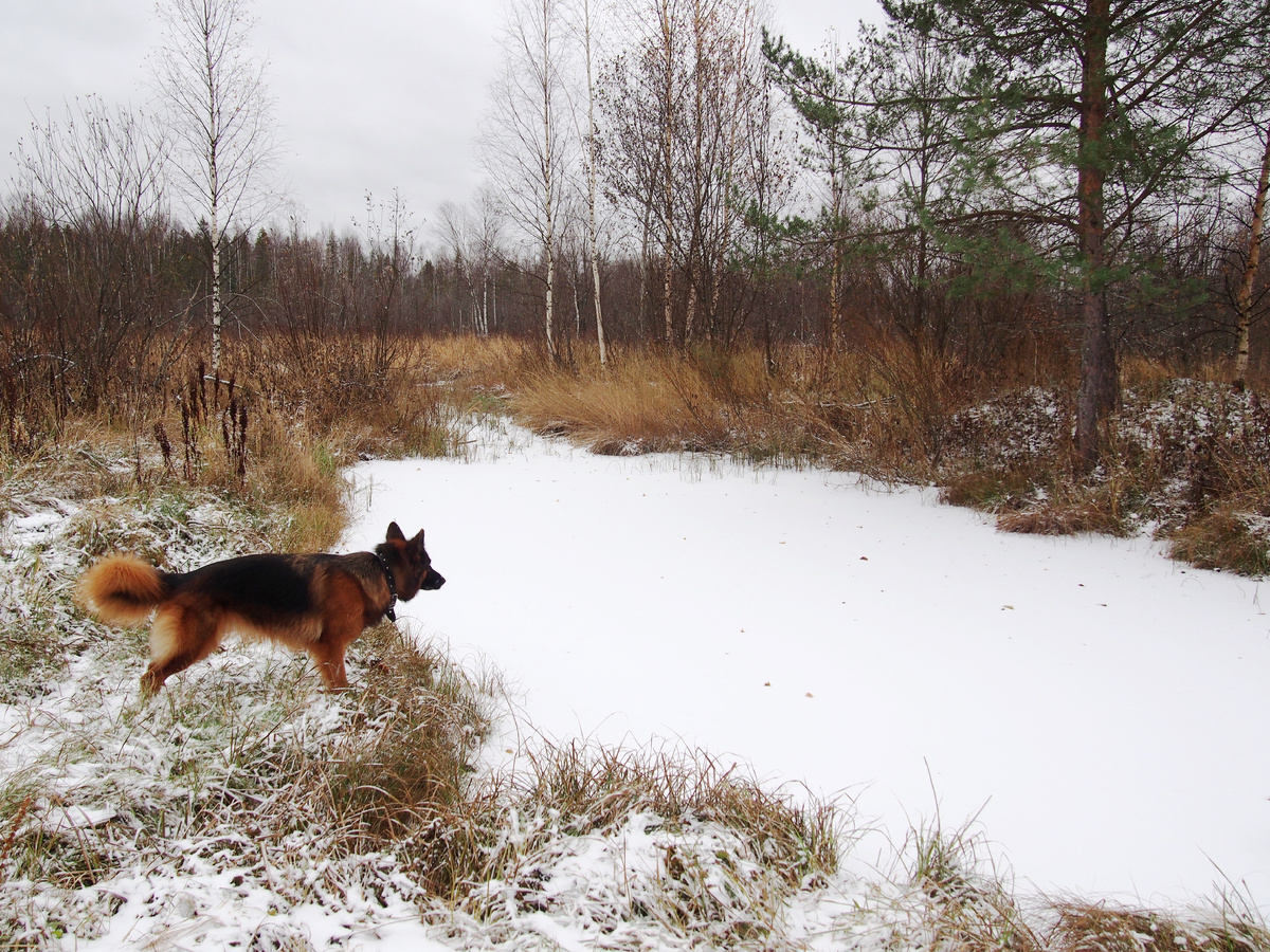 конец октября 2023 года