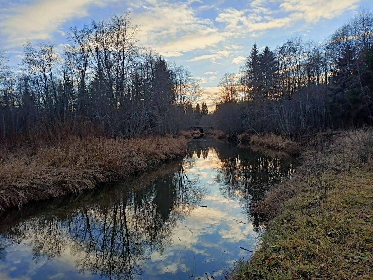 конец октября 2024 года