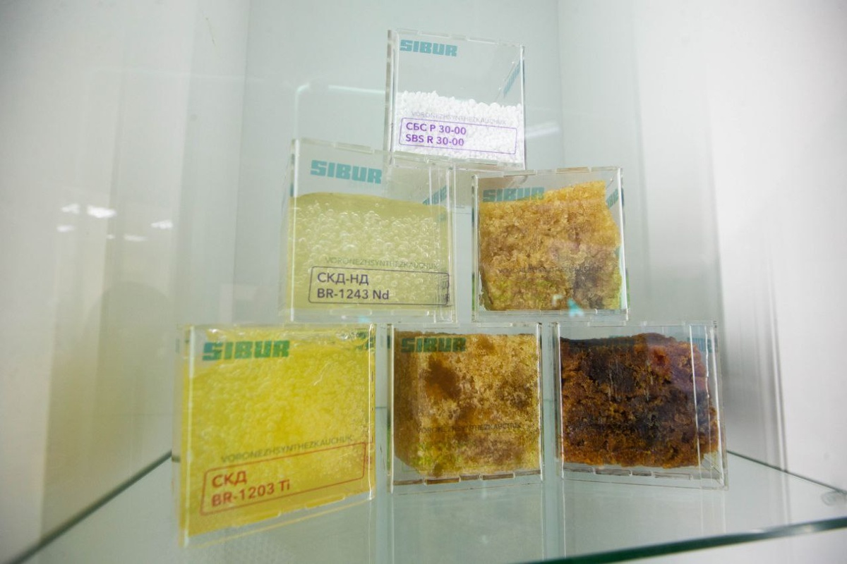    Фото: Правительство Томской области