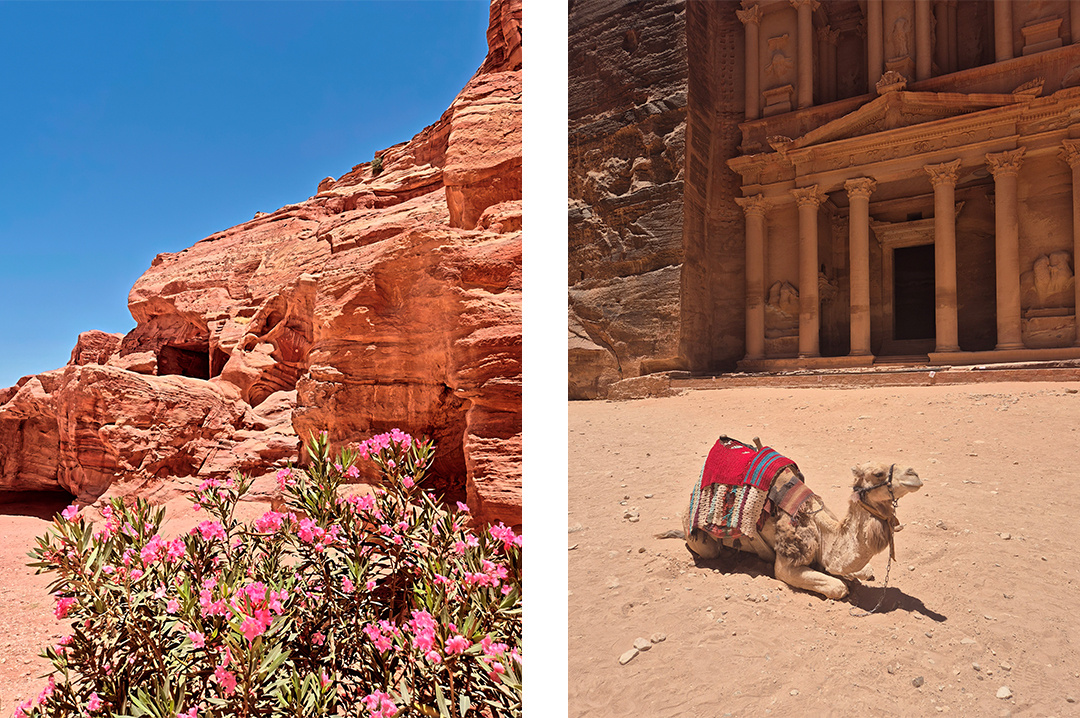 Пейзажи Иордании.Фото: Лена Титок