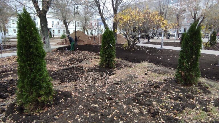    В сквере имени Ленина в Оренбурге высадили робинии, клёны и туи Оренбуржье