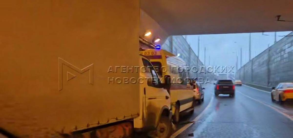    Фото: Скриншот видео / АГН «Москва» / Telegram