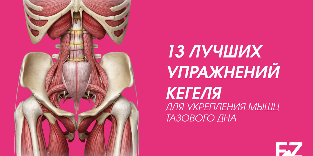 Тазовое дно: 13 лучших упражнений Кегеля