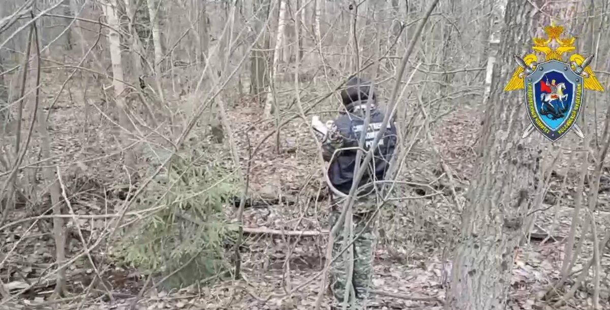    Фото: скриншот видео пресс-службы СУ СК России по Ленобласти